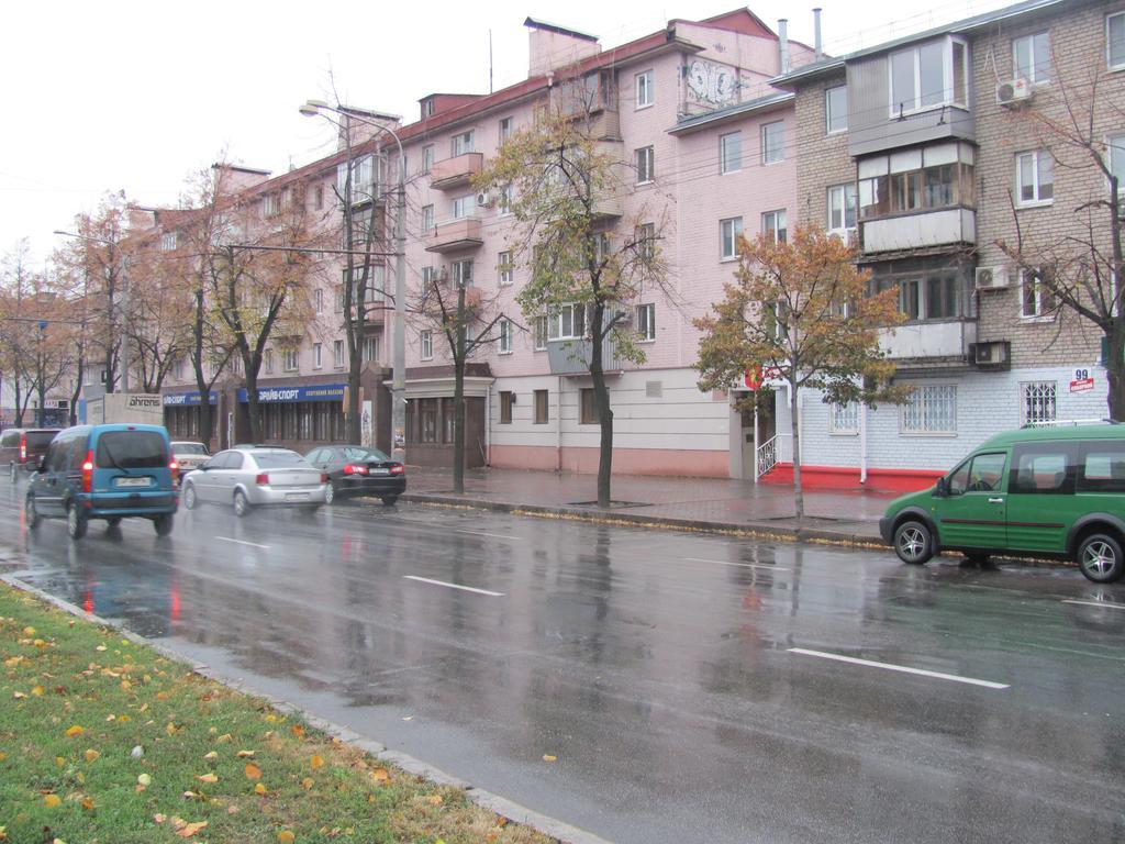 Apartment On Prospect Lenina97 Zaporizhia エクステリア 写真